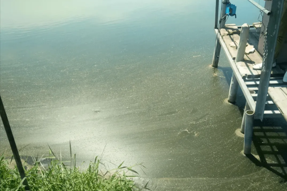 1652664521213393.png 氨氮3.png