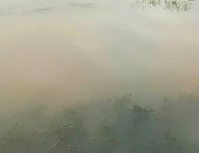 1654564225350808.png 白濁水.png