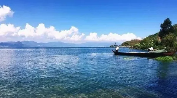 1655083243156434.png 水質1.png