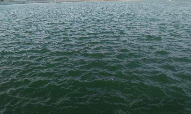 1655859873153908.png QQ截圖20220615095457.png