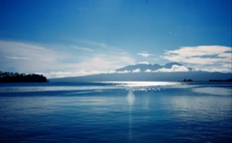 1658969740651035.png QQ截圖20220615095355.png