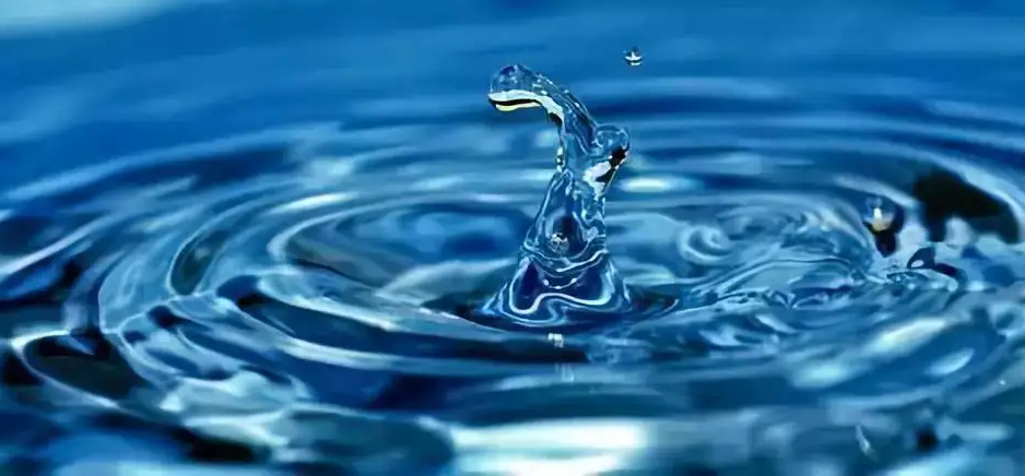 1669270336287080.png 水質.png