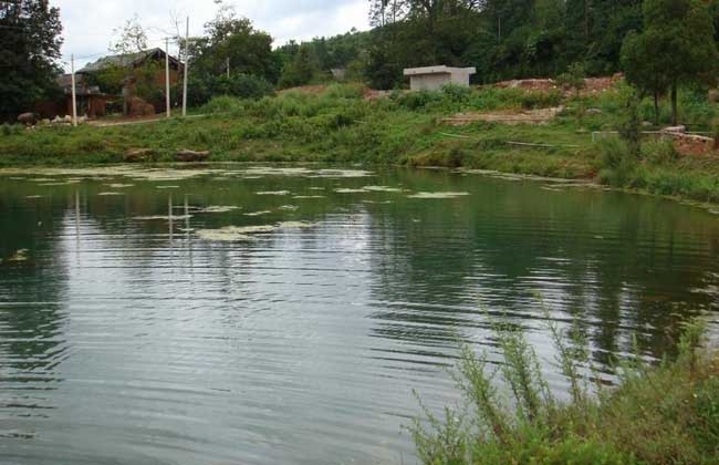 1695281777486980.jpeg 2f4911015b51e3466494af74be33cff7.jpeg