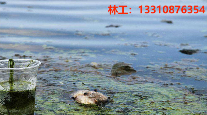 1706842399166292.png 3-200H3114319B6.png